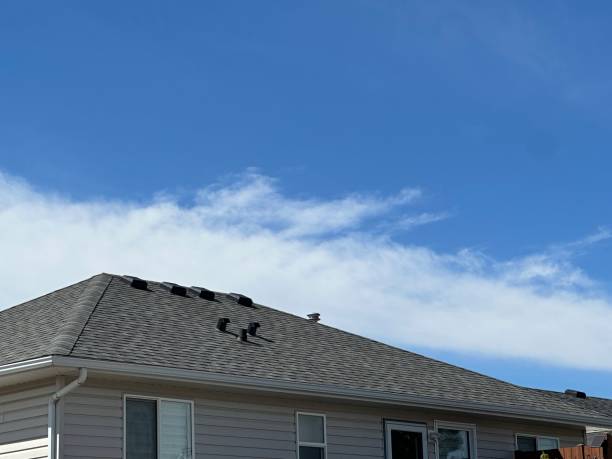 Best Roof Ventilation Installation  in Yuma, AZ