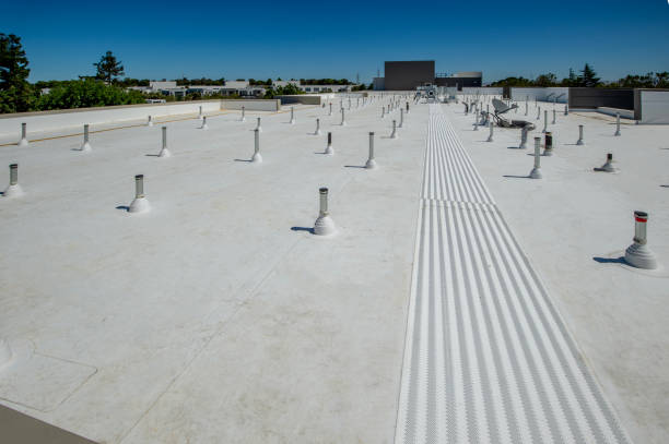 Best Asphalt Shingles Roofing  in Yuma, AZ